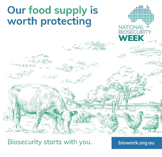 🚨Today marks the start of National Biosecurity Week!  

Australia’s science-based biosecurity system protects our people, animals, environment &amp; economy. This week, we celebrate those keeping us safe from threats—and recognise the role we all play in protecting our future.