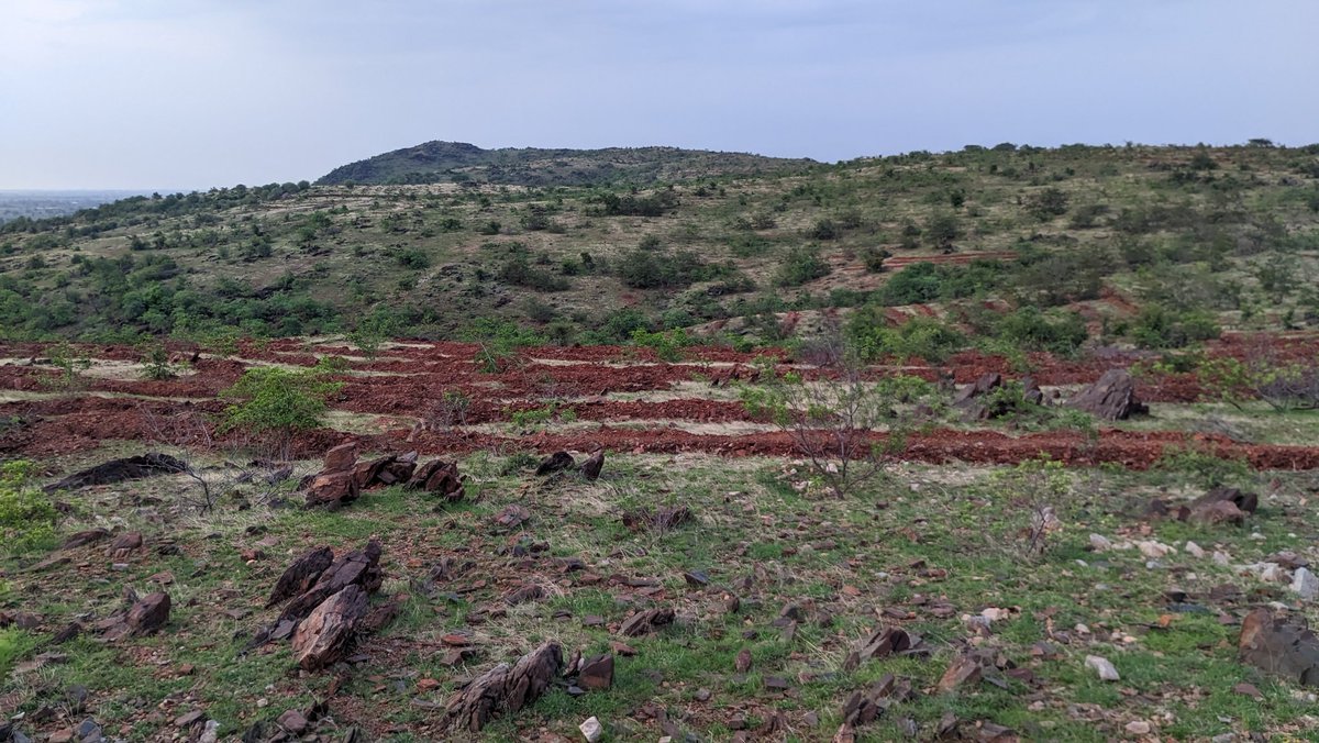 cmcchethan's tweet photo. @PriyankKharge @eshwar_khandre @cm Kind request to look into these issues in Kalburagi and also in other Kalyana Karnataka regions. Below is the region in Raichur destroying the natural habitat from planting. https://t.co/xktlFtoEtI