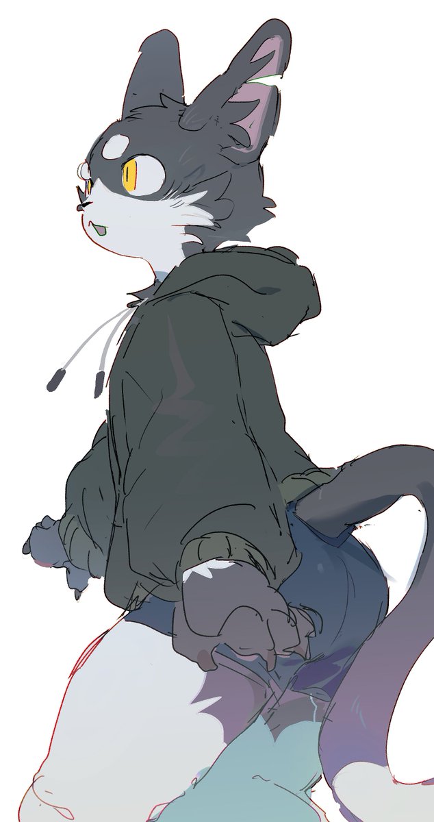 HOWDY (@howdy_fur) on Twitter photo 