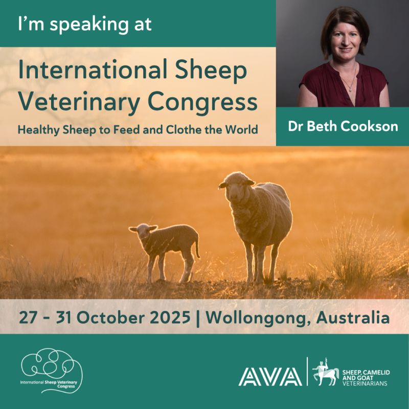 Join me in Wollongong, 27–31 October for the International Sheep Veterinary Congress! I’ll be hosting the plenary ‘Shared Pastures: Protecting small ruminants from transboundary disease threats.’ Register now 👉 au.eventscloud.com/website/2744/h…
