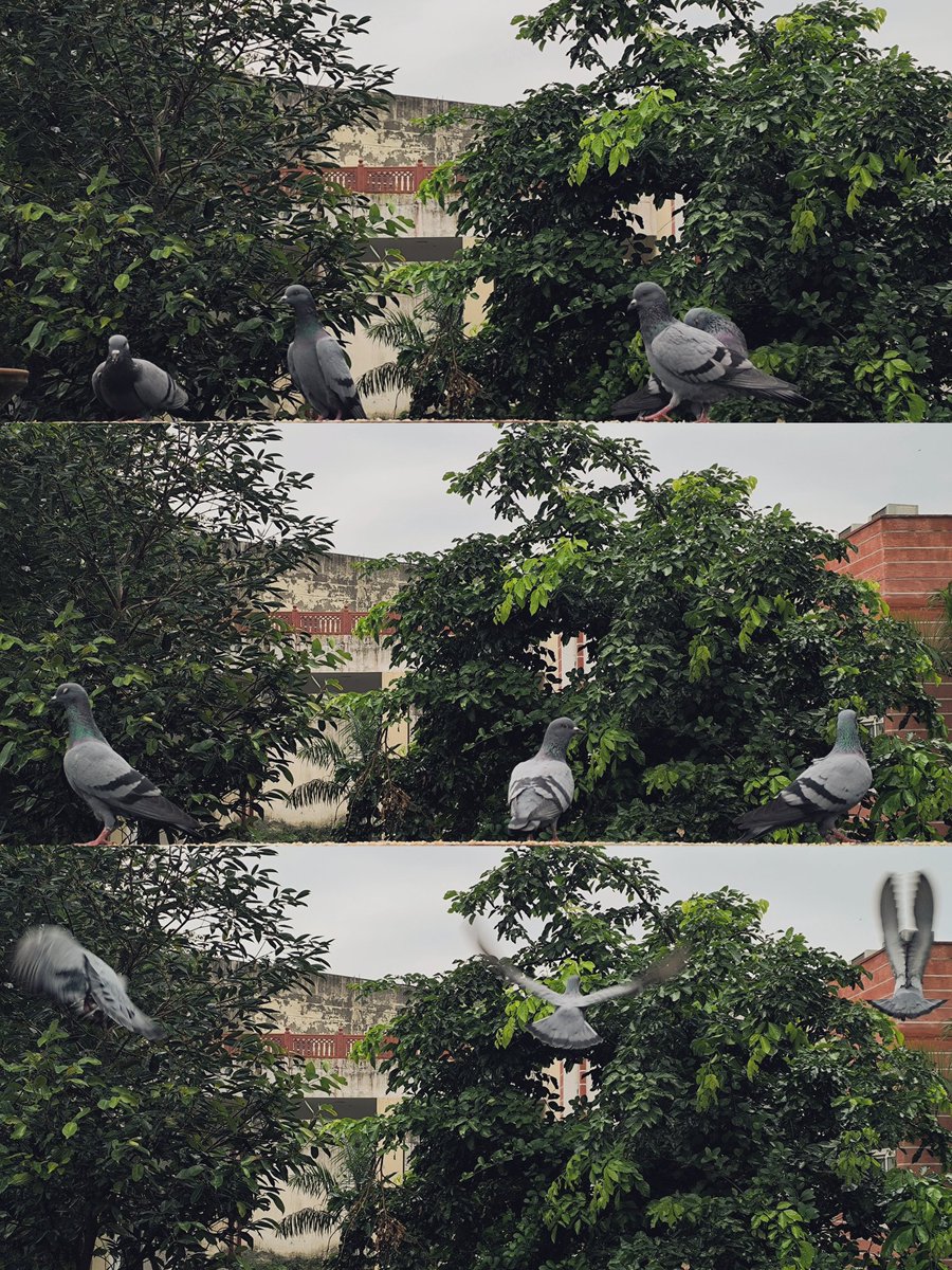 " स्थिर सी दुनियां में अस्थिरता की उड़ान !