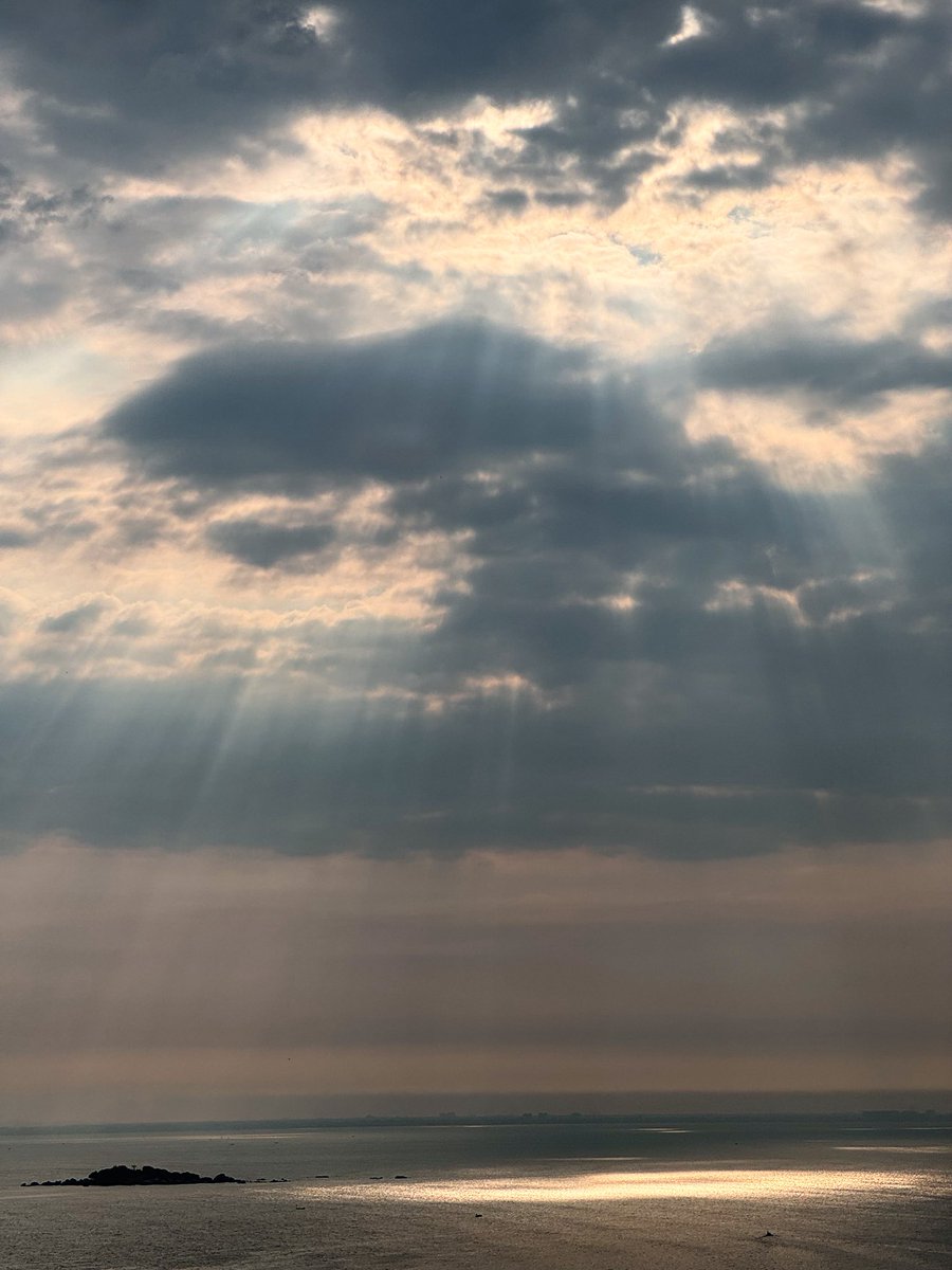 I made two mints on OBJKT 

The first is LE of 5 editions “My Colour Palette” is a collage of things I love the most. It will be available midnight (00.43am +8 GMT) this Wednesday which is my birthday. (43xtz/edition)

The second is an OE for my birthday for all to collect “is