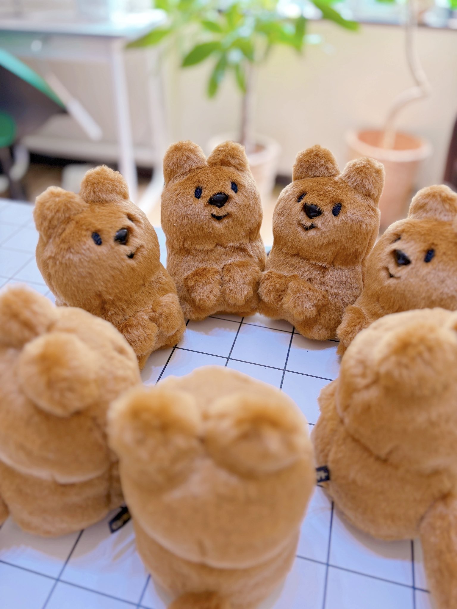 JUNK FOOD OPERA 様　ふわふわさん JUNK FOOD OPERA 様 ふわふわさん