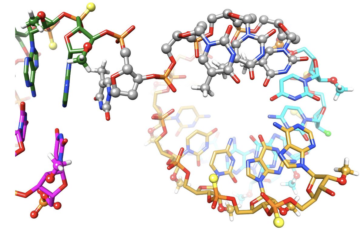 UNC RNA Discovery Center (@rnadiscovery) on Twitter photo Congratulations to our director <a href="/ChadPecot/">Chad Pecot, MD</a> and his team for publishing “Inverted chimeric RNAi molecules synergistically co-target MYC and KRAS in KRAS-driven cancers” in the Journal of Clinical Investigation.
Check out the full paper here: jci.org/articles/view/… 
#Research Congratulations to our director <a href="/ChadPecot/">Chad Pecot, MD</a> and his team for publishing “Inverted chimeric RNAi molecules synergistically co-target MYC and KRAS in KRAS-driven cancers” in the Journal of Clinical Investigation.
Check out the full paper here: jci.org/articles/view/… 
#Research