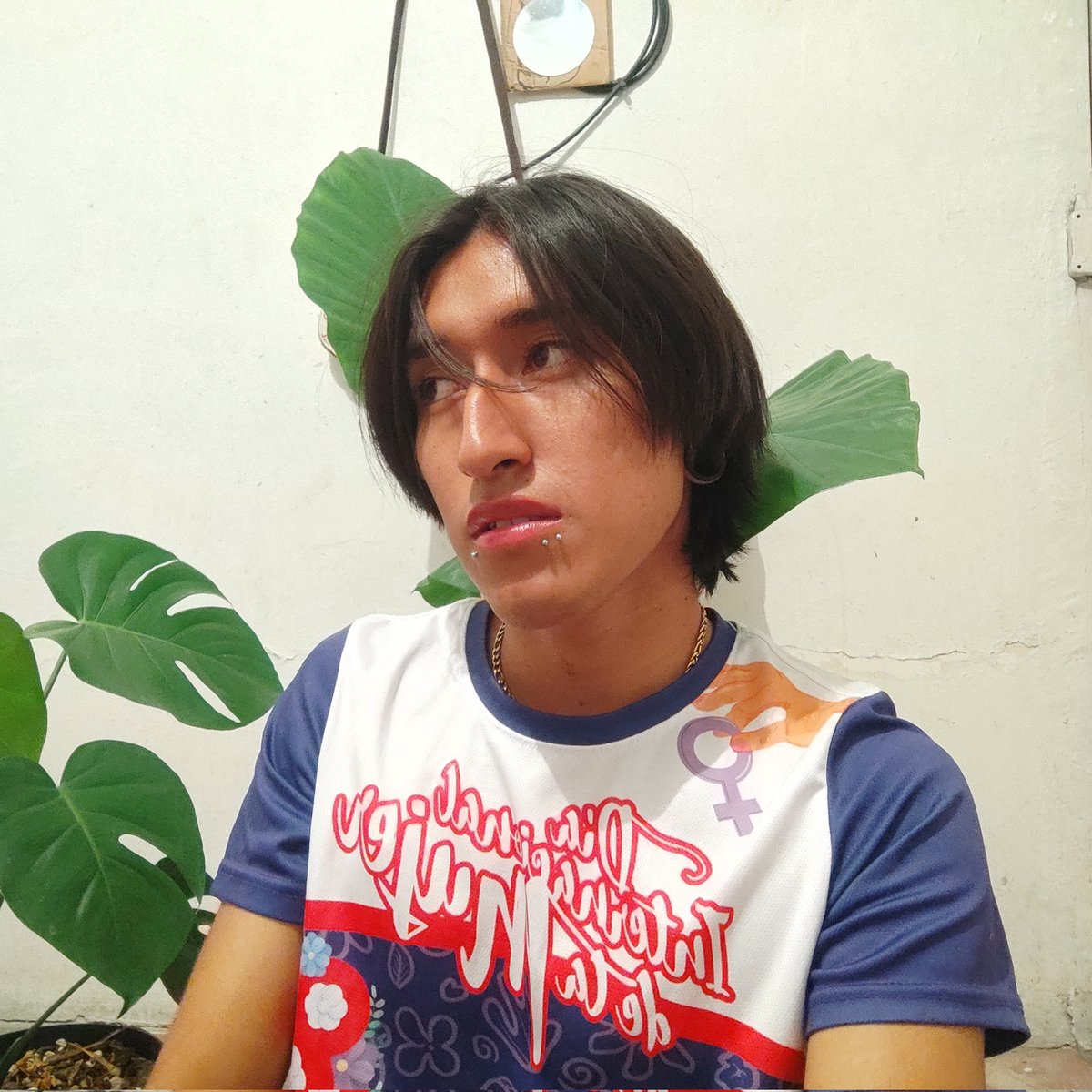 Crystal/28 tweet media