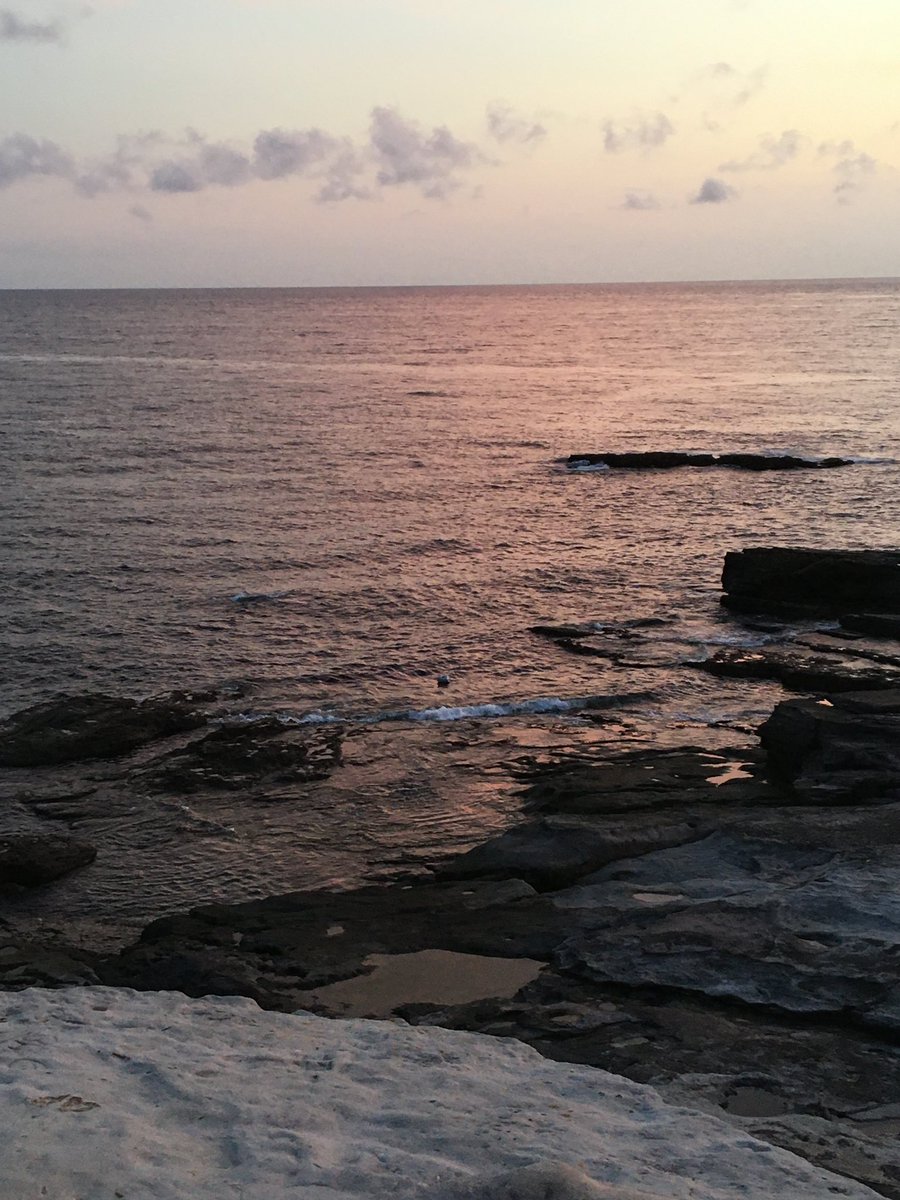 일본 1등은 시라하마라고 생각함