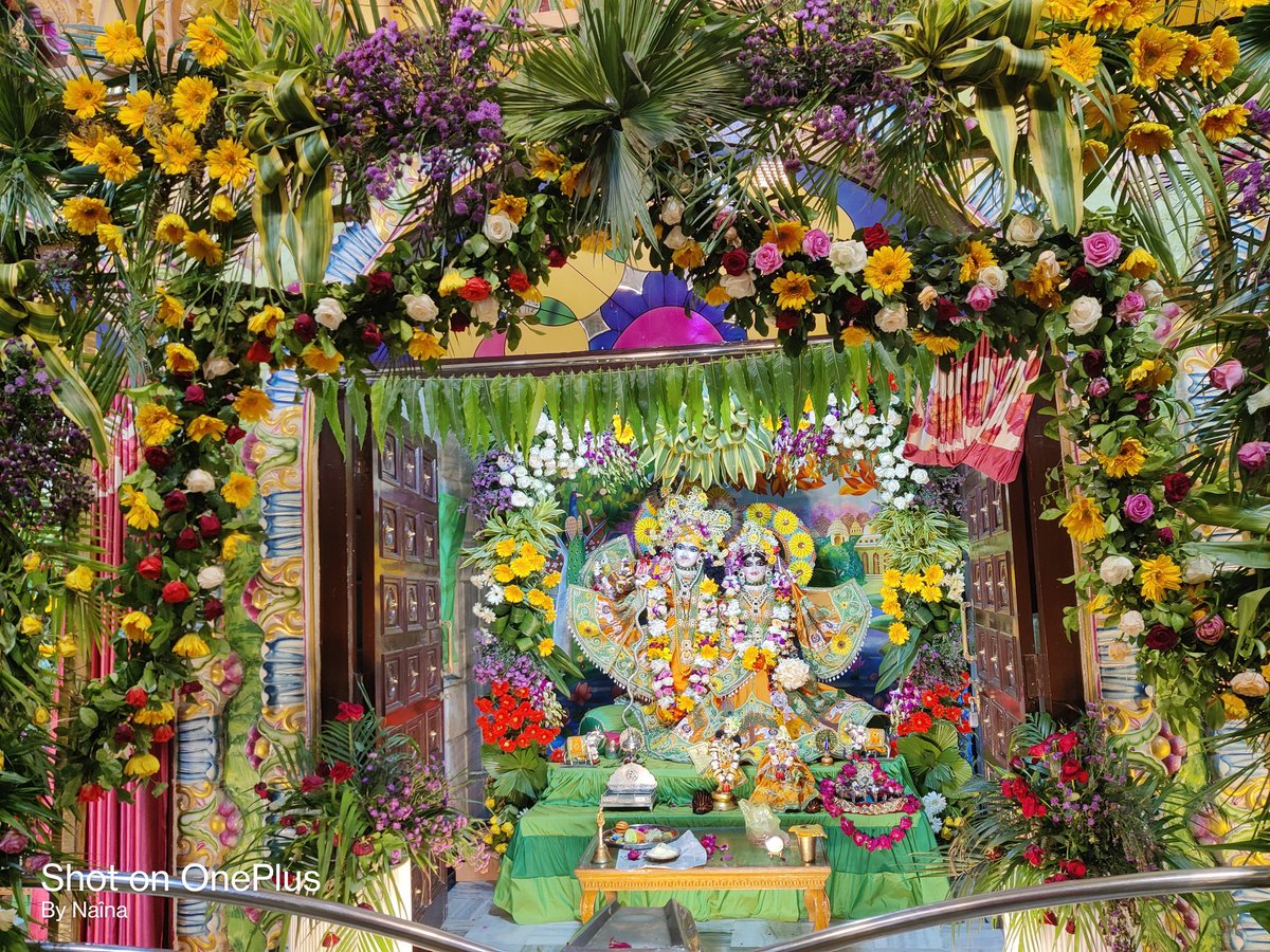 rosepetal_wink's tweet image. Good morning guy's 🤍🌻 
#MorningVibes #sunshine #lastnight