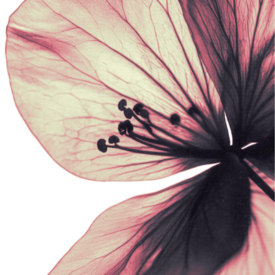 ⁫⁫⁫⁫ ⁫　⁫𝓵ꨄ︎ver┈girl. tweet media