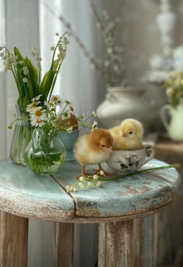 Өглөөний мэнд ээ. Шинэ 7 хоногийн ажил үйлсэд нь амжилт хүсье😊
#GoodMorningEveryone