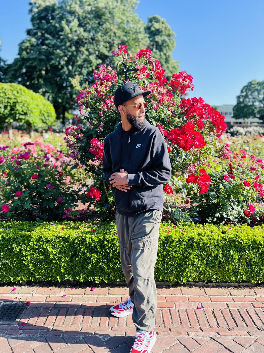 YoitsKabare's tweet photo. Rose City 🌹🌆 https://t.co/ME4STaOZZ4