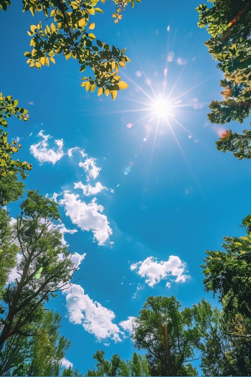 Шинэ 7 хоногийн Өглөөний мэнд☀️
Бодсон бүхэн биелээсэй. 🔥

#GoodMorningEveryone🌿☘️🍀🌱🍃