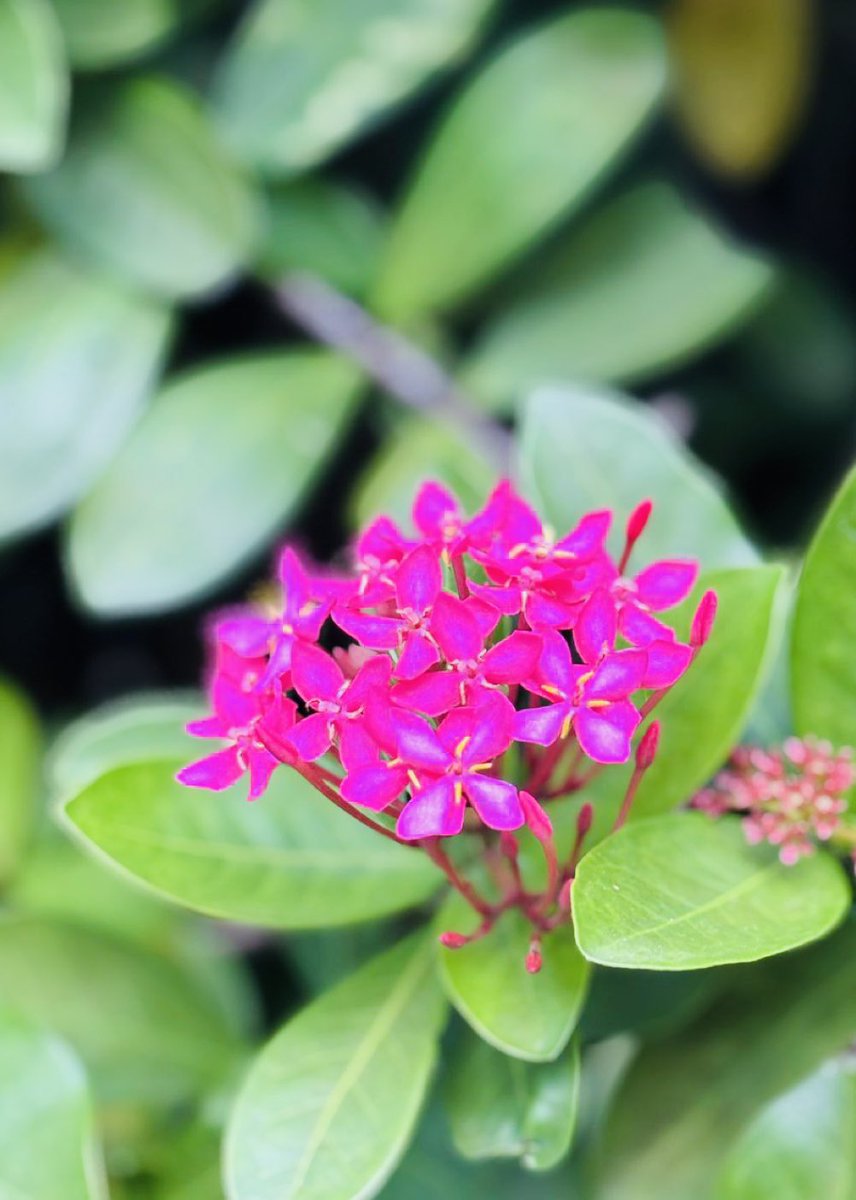 💕💕💕💕💕💕💕