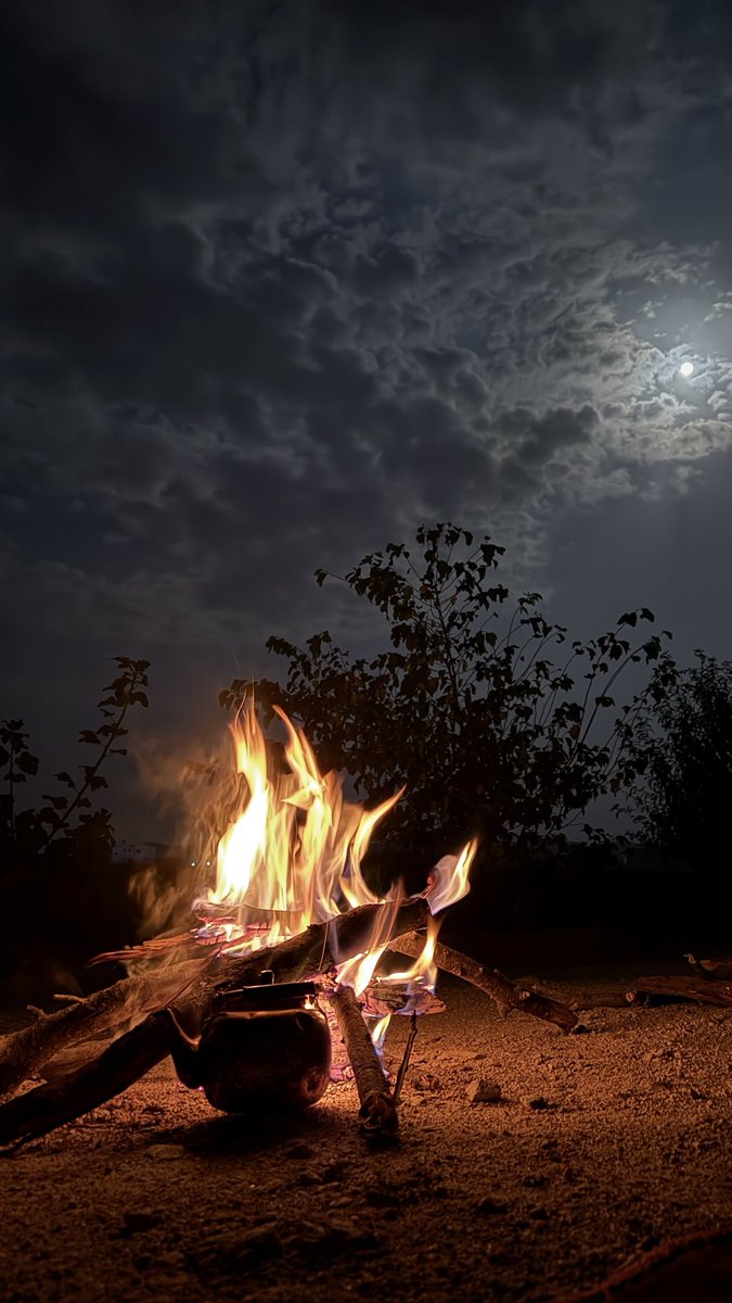 GL_7B's tweet image. By light of the moon