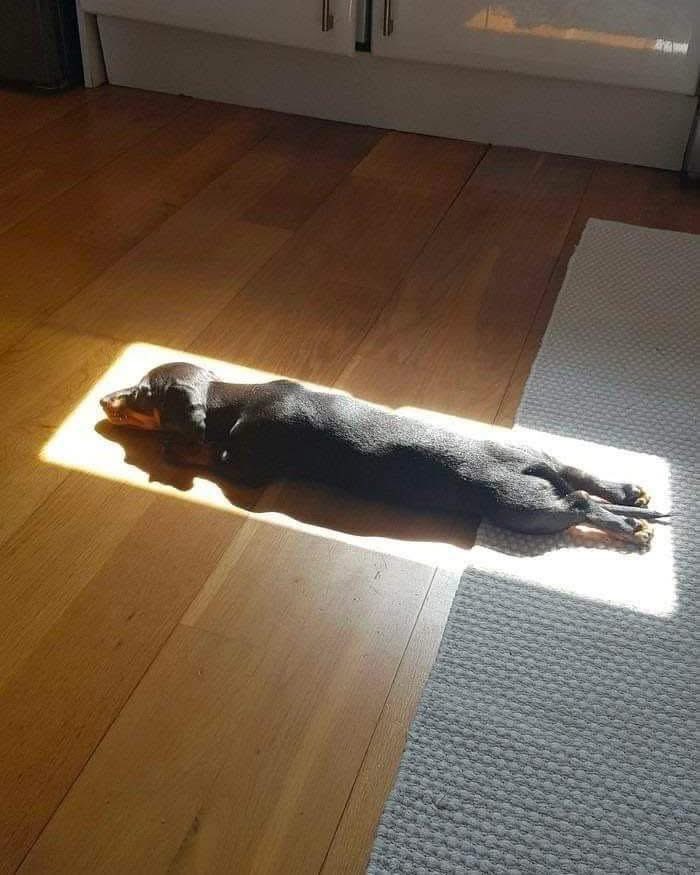 Cuando la vida te ofrezca una oportunidad, ¡aprovéchala al máximo!￼ 💪