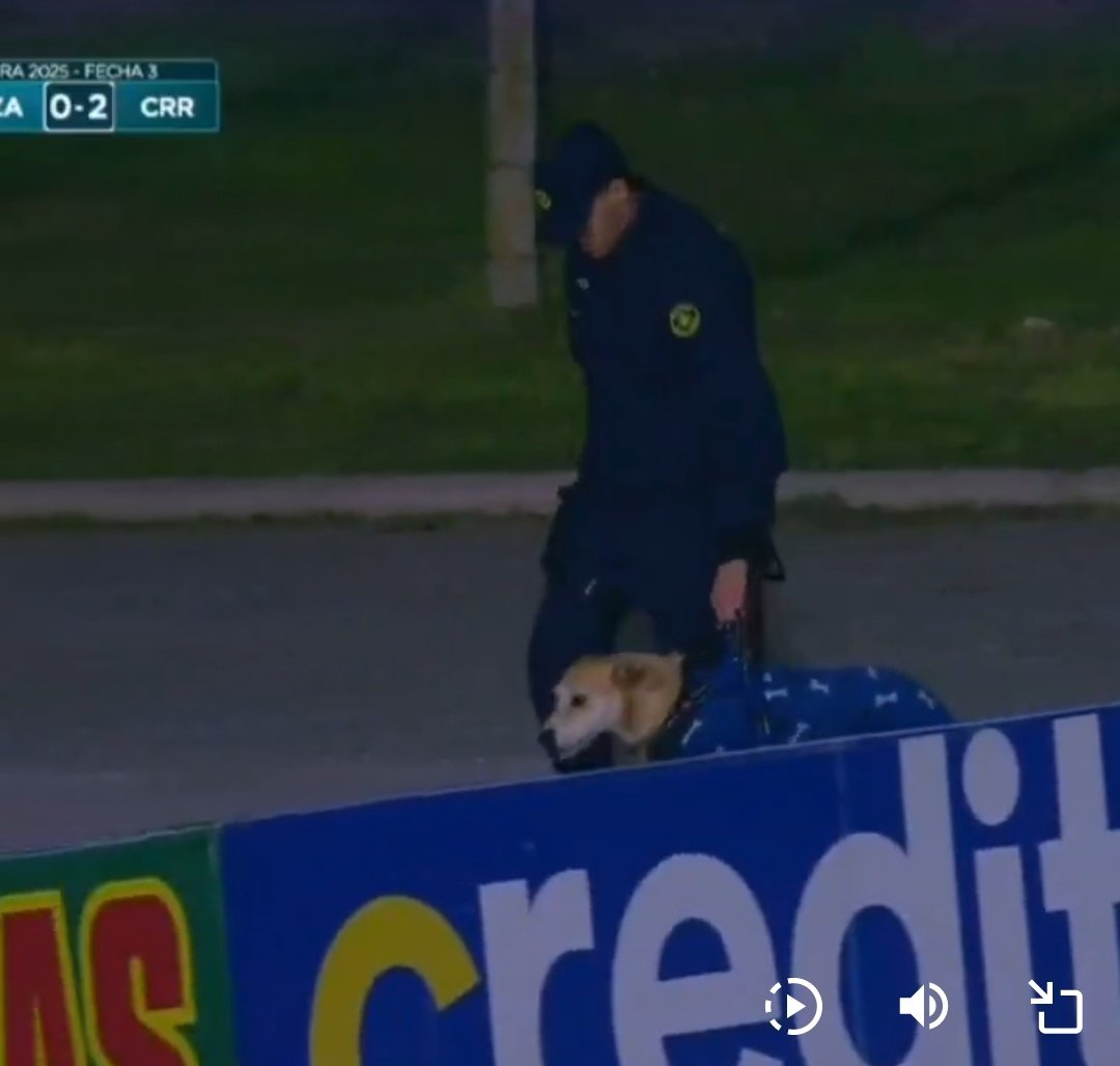 BASTA DE REPRESIÓN POLICIAL