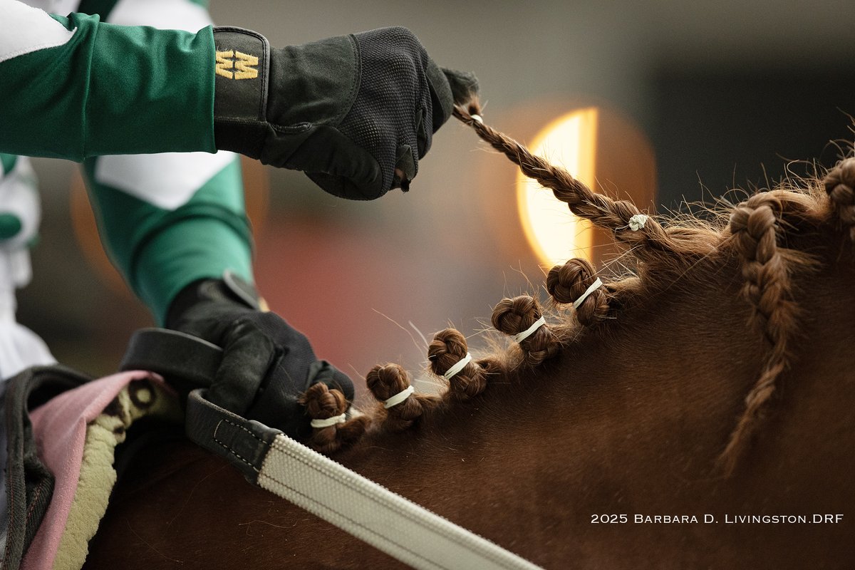 Jose Ortiz undoing Sports Hero's braids

Today's tenth race at Saratoga