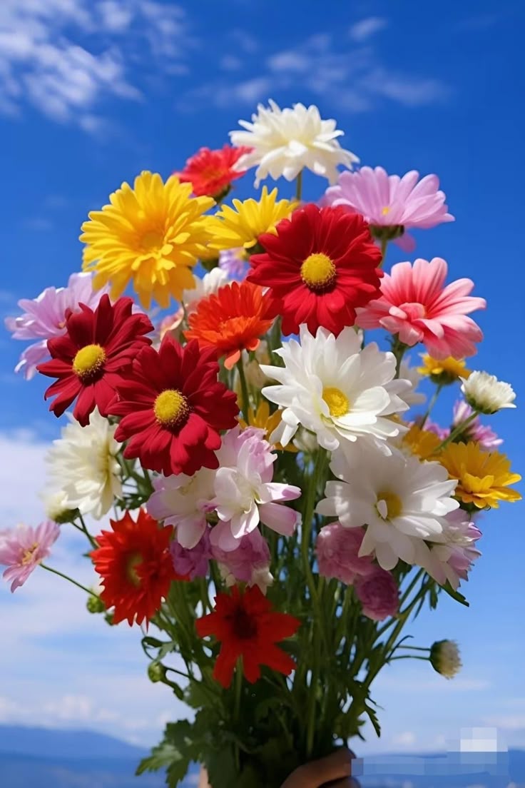 Өглөөний мэнд.