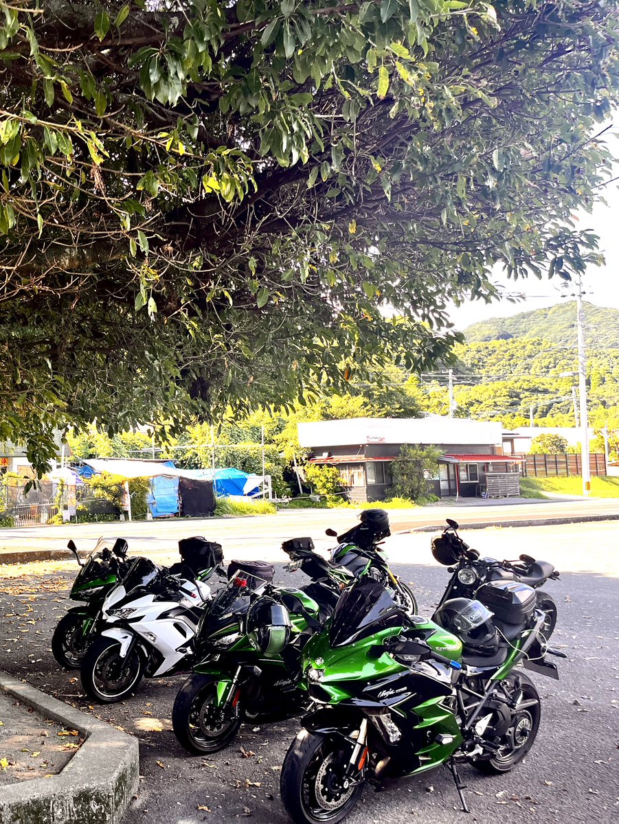 🏕hide 🐼 tweet media