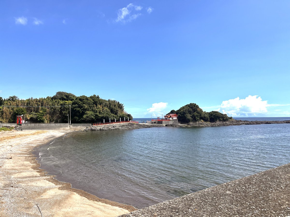 🏕hide 🐼 tweet media