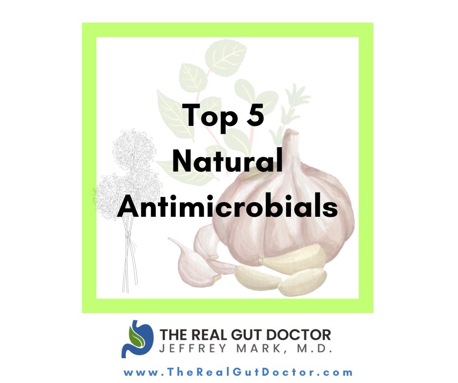 therealgutdoc's tweet photo. 🧄 Garlic &amp; Onions–crush pathogens &amp; inflammation
🫚 Ginger–fights yeast, bacteria, soothes the gut 
🌿 Oregano–antibacterial + antifungal.
🍯 Raw Honey–heals tissue, slay bad microbes.
🫐 Cranberries &amp; Berries – fight off urinary + gut infections
Book your free discovery call. https://t.co/ePxeNRmUy3