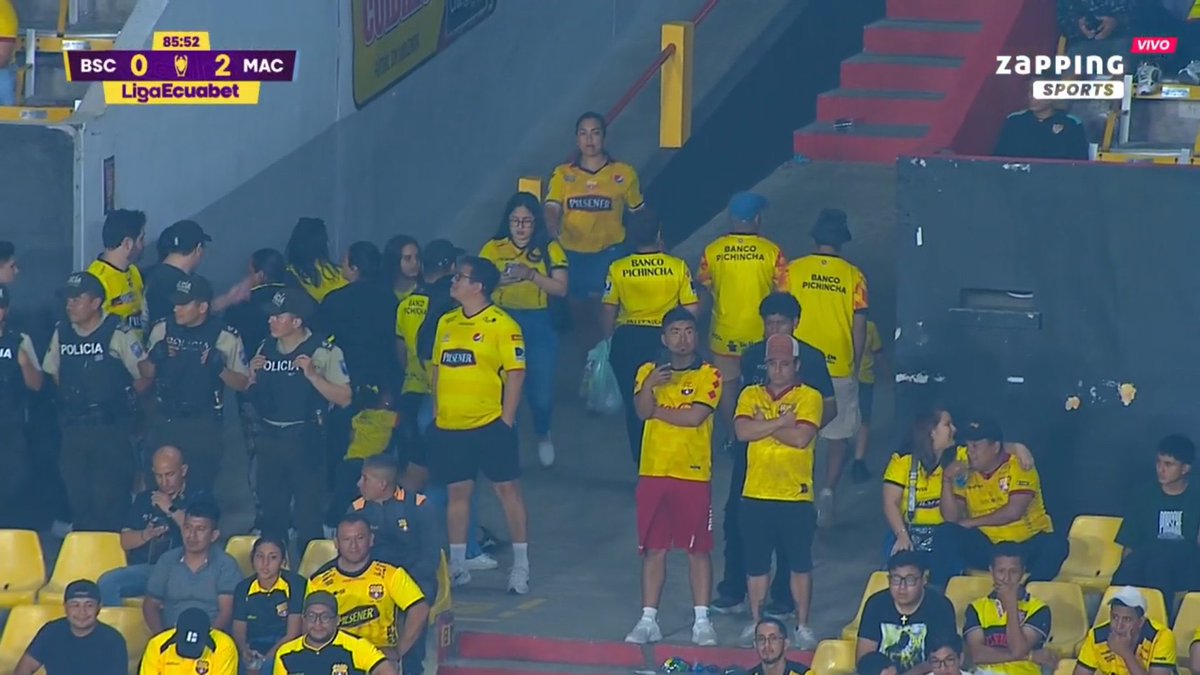 menismo13's tweet image. De qué equipo son esos hinchas que se van?