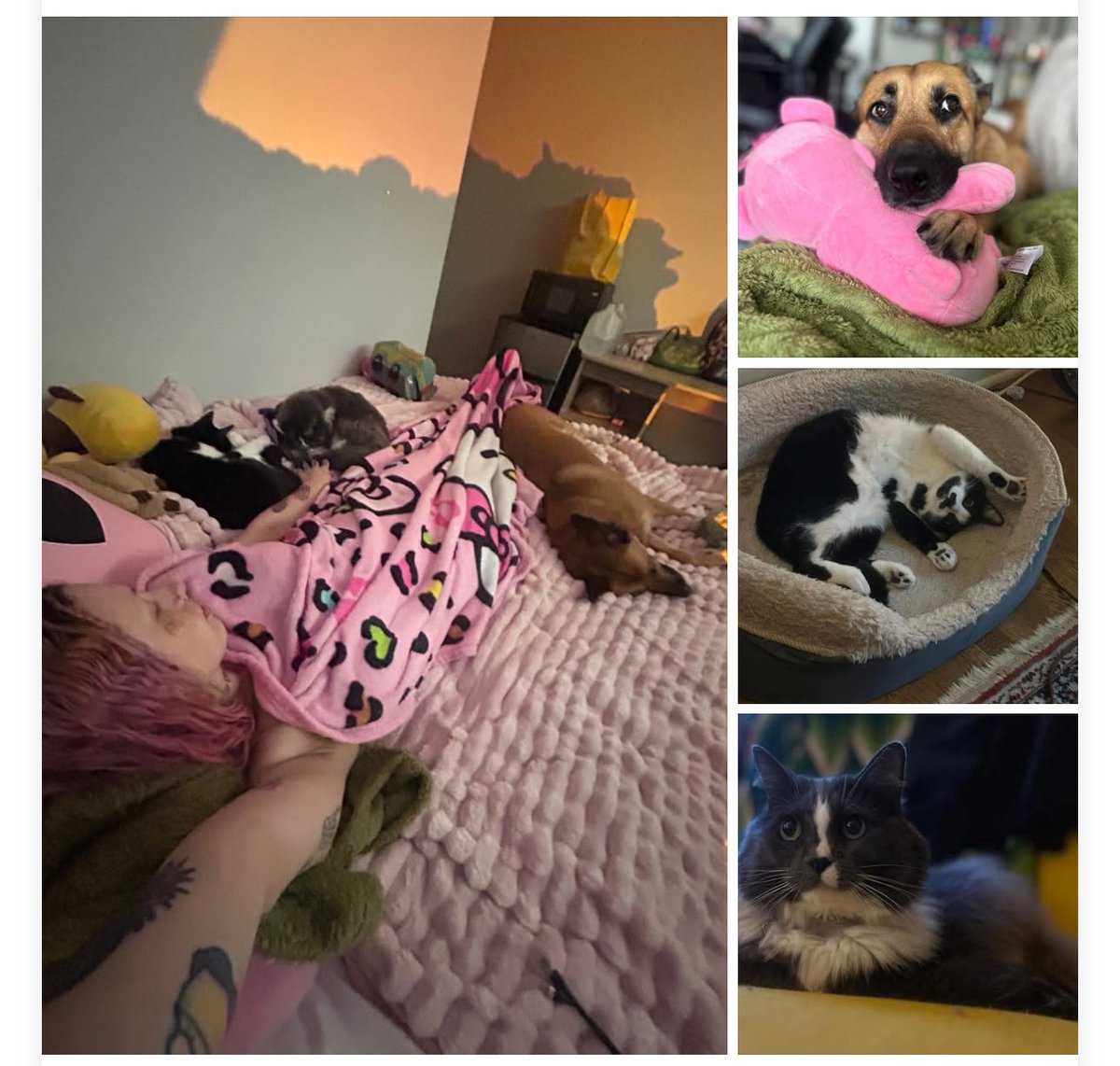 ogjustdev's tweet image. trying to make our way to bellingham, washington!!!!!