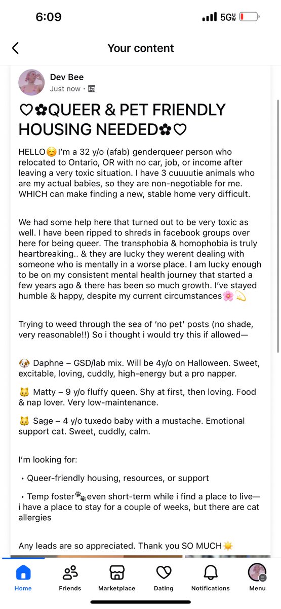 ogjustdev's tweet image. trying to make our way to bellingham, washington!!!!!