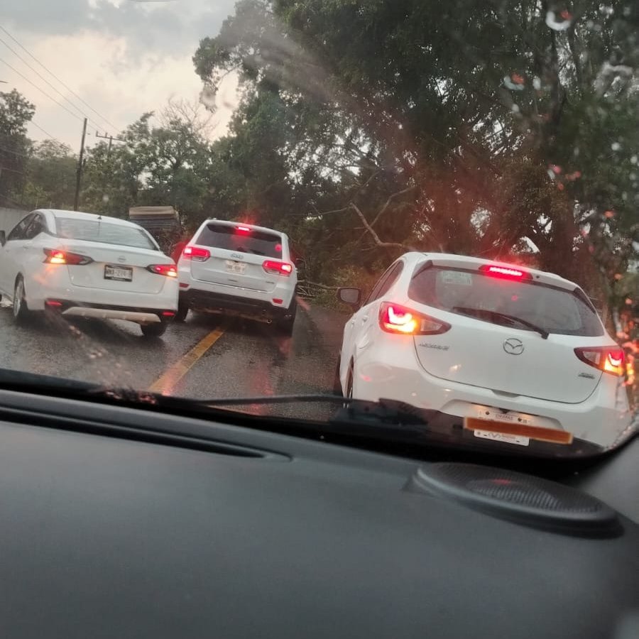 heraldodetab's tweet photo. #AlertaVial | Se registran árboles caídos en la carretera #Vhsa- #Teapa tramo de Villa del Cielo hacia la huasteca. 

Tome precauciones

📸El Heraldo de Tabasco https://t.co/IoOBv2BKnI