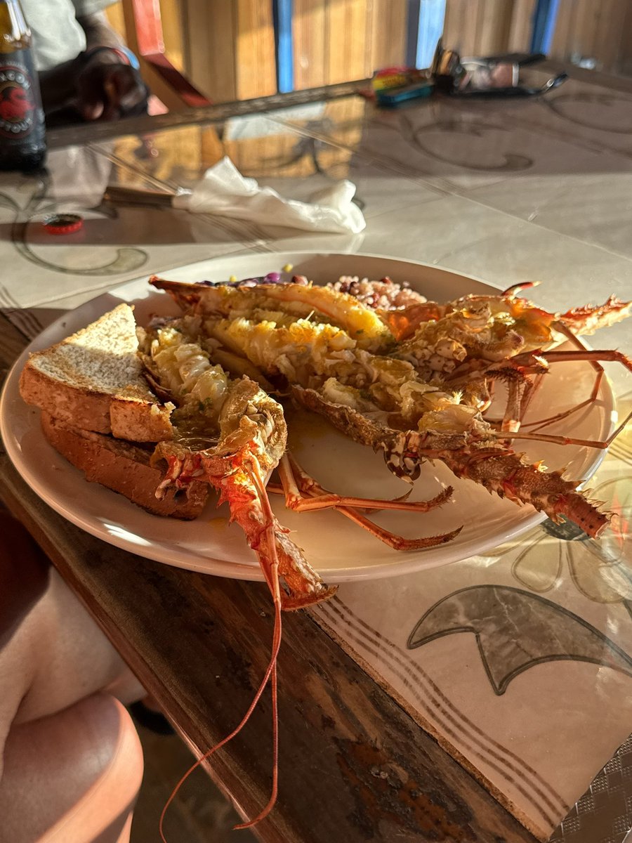 sunni_daizeFL's tweet photo. Dinner was served with fresh lobster and shrimp straight from the sea - #negril #jamaica #7mileBeach #blazedStudios @BlazedStudios https://t.co/NfpYKEdadT