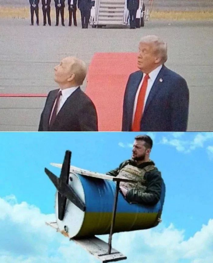 Alpha Liger ⬛ 🟨 tweet media