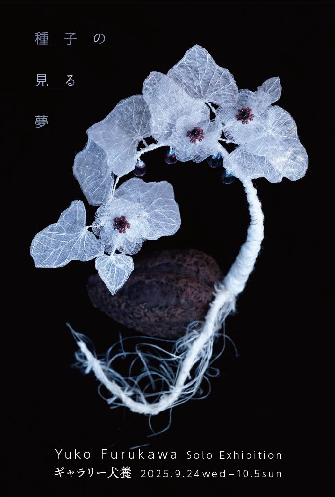 marumo (@cocopoke_no19) / X