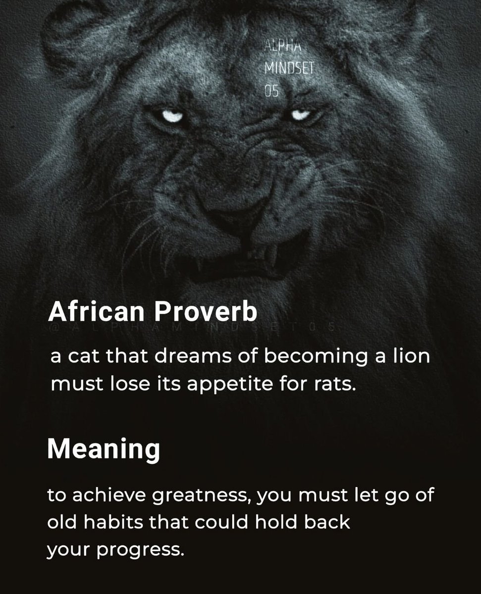 Mindful Maven (@mindfulmaven_) on Twitter photo 