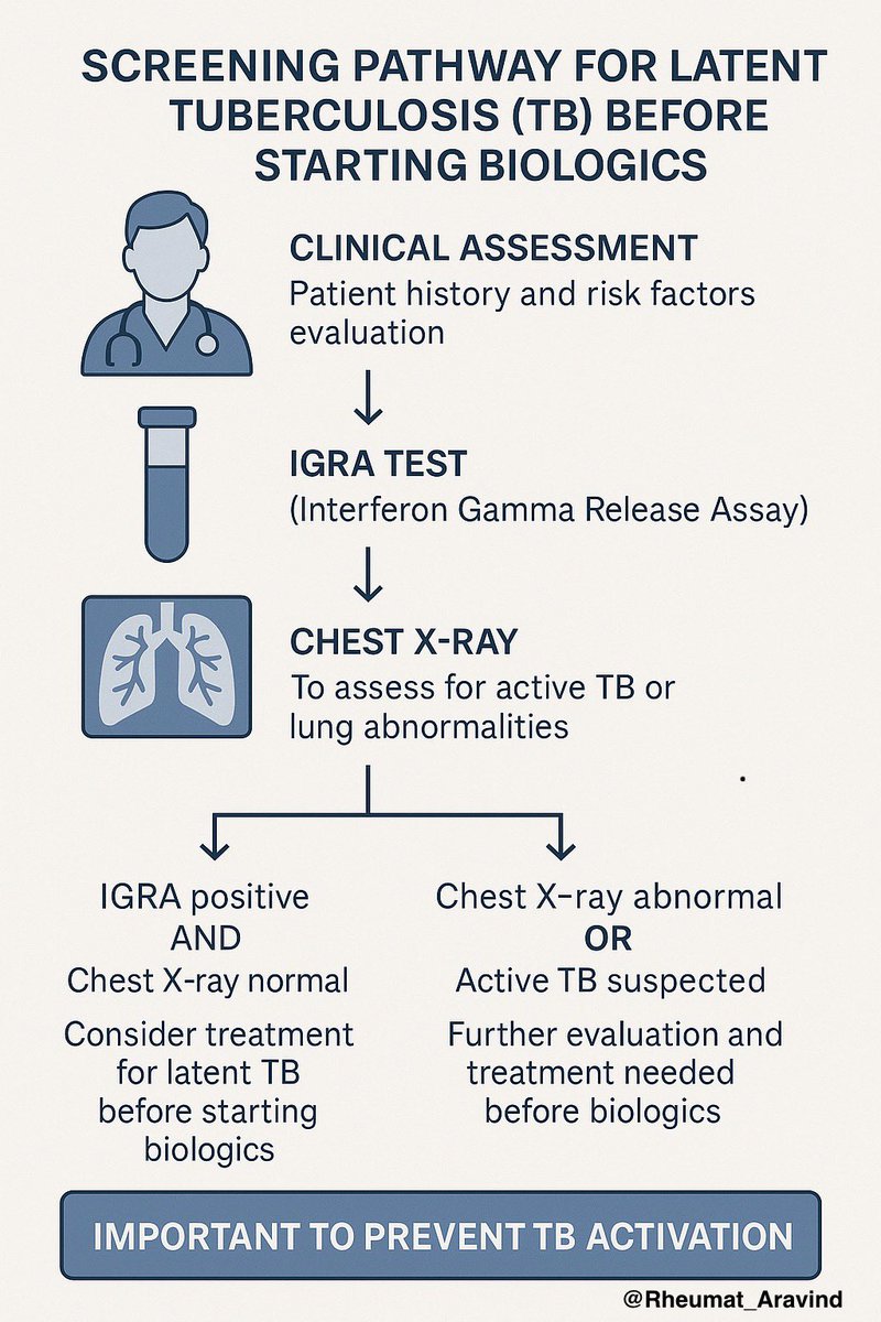 Aravind Palraj (@rheumat_aravind) on Twitter photo Latent TB screening before starting biologicals:
<a href="/IhabFathiSulima/">Dr Ihab Suliman</a> <a href="/DrAkhilX/">Dr. Akhil 🇮🇳</a> #MedTwitter #RheumatX Latent TB screening before starting biologicals:
<a href="/IhabFathiSulima/">Dr Ihab Suliman</a> <a href="/DrAkhilX/">Dr. Akhil 🇮🇳</a> #MedTwitter #RheumatX