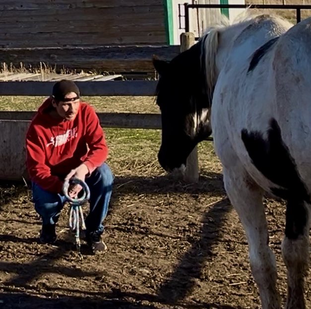 RanchHorsesSK's tweet image. If I died today it would come with a smile. Life’s not a contest of quantity, but quality. Every last drop you can squeeze out of it.

Sever fear. It only shackles you and your potential. Take risks. Push the envelope. Earn it.

To have this freedom is priceless.

#Sask #skpoli