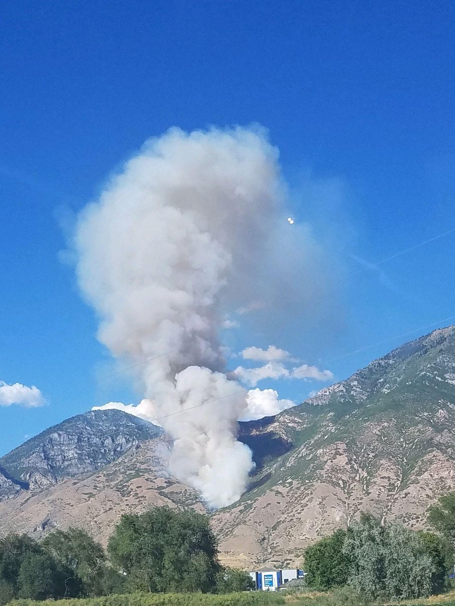 Uinta-Wasatch-Cache NF tweet media