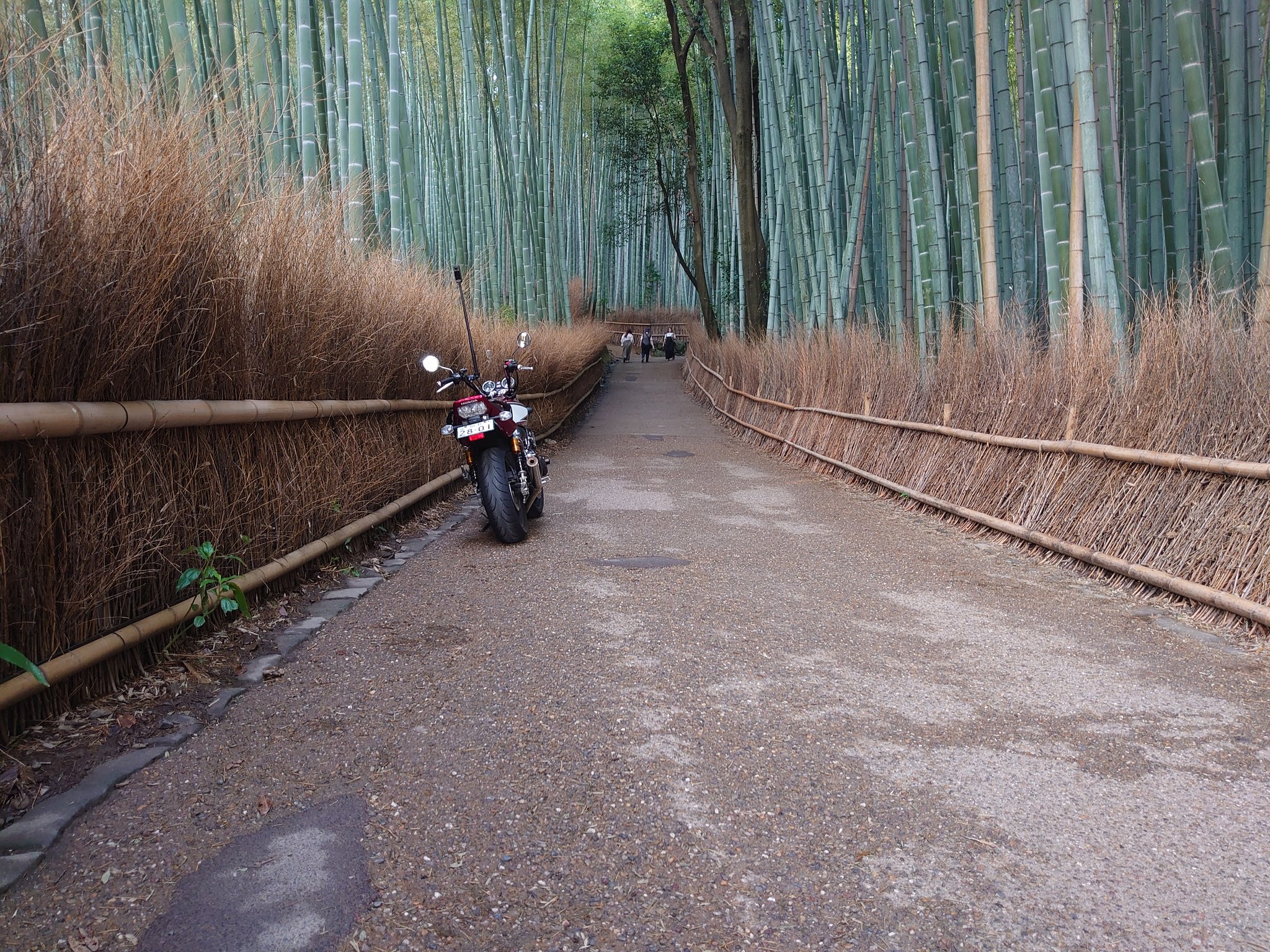 海ちゃんページ 海ちゃん (@jaPEcNHqtVc5AZg) / X