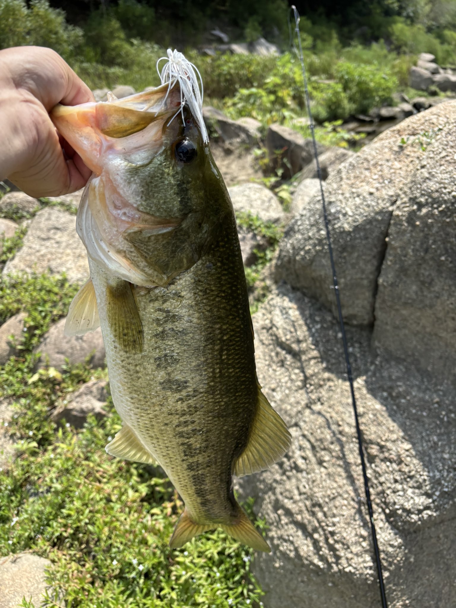 釣り人 釣り人 (@free__fishing) / X