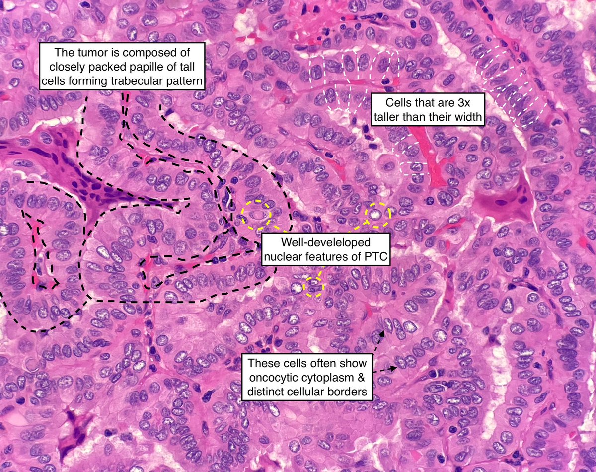 Hisham Alshuaibi tweet media