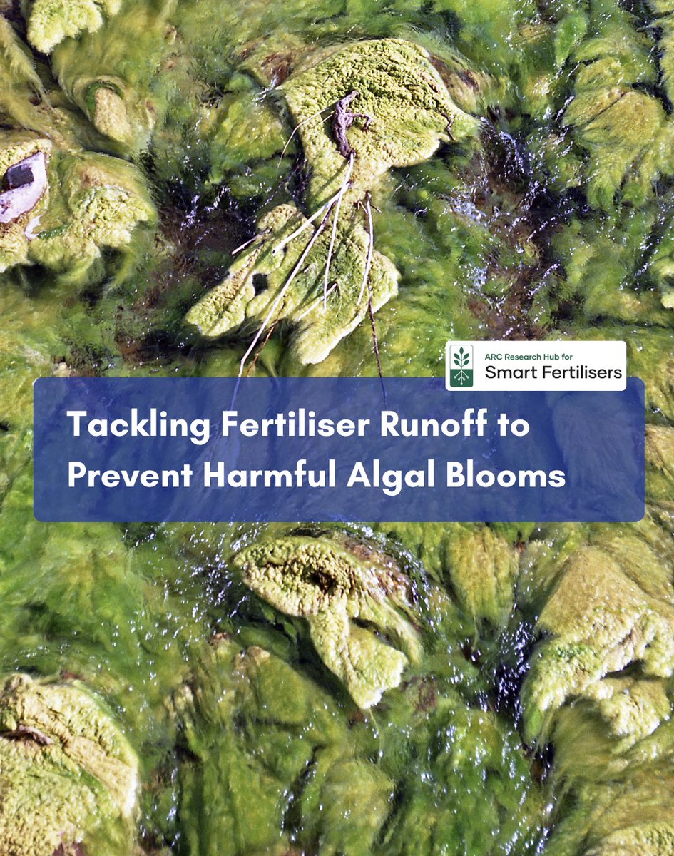 FertiliserHub's tweet photo. The catastrophic algal bloom currently affecting South Australia highlights the urgent need for improved nutrient management and climate-resilient practices. Click to learn how our Hub is tackling this.  ⇒ https://t.co/InKYm2YKnw https://t.co/7izlHBtHFB