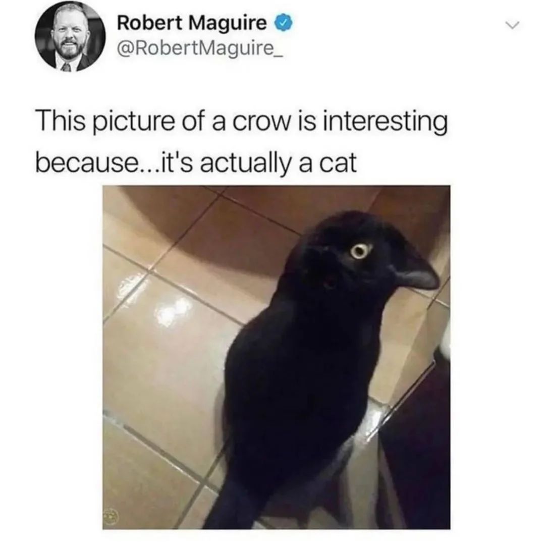 hourly_shitpost's tweet photo. https://t.co/reJijzvXIs