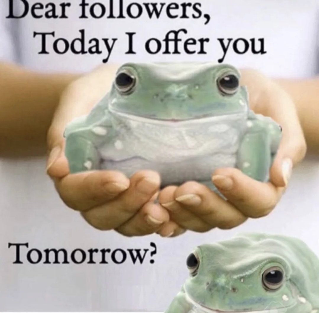 nocontextfrogs's tweet photo. https://t.co/ixbCgHIdi3