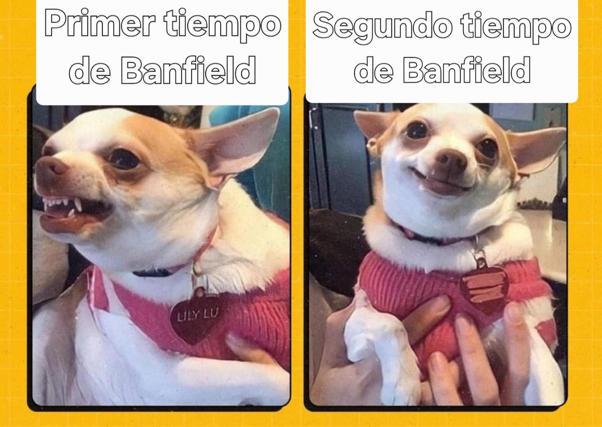 Equi_Gallagher's tweet image. Yo hoy durante el partido: