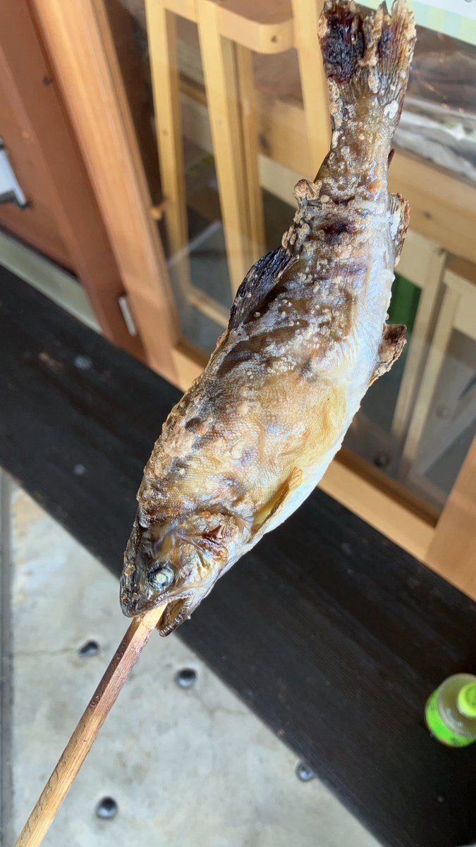 かもめ（514） (@kamome514) / Posts / X