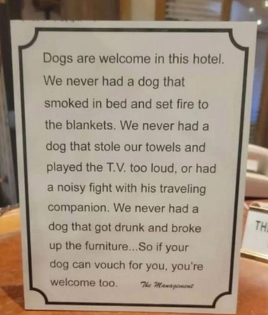 Correct!  #dogs #doggos