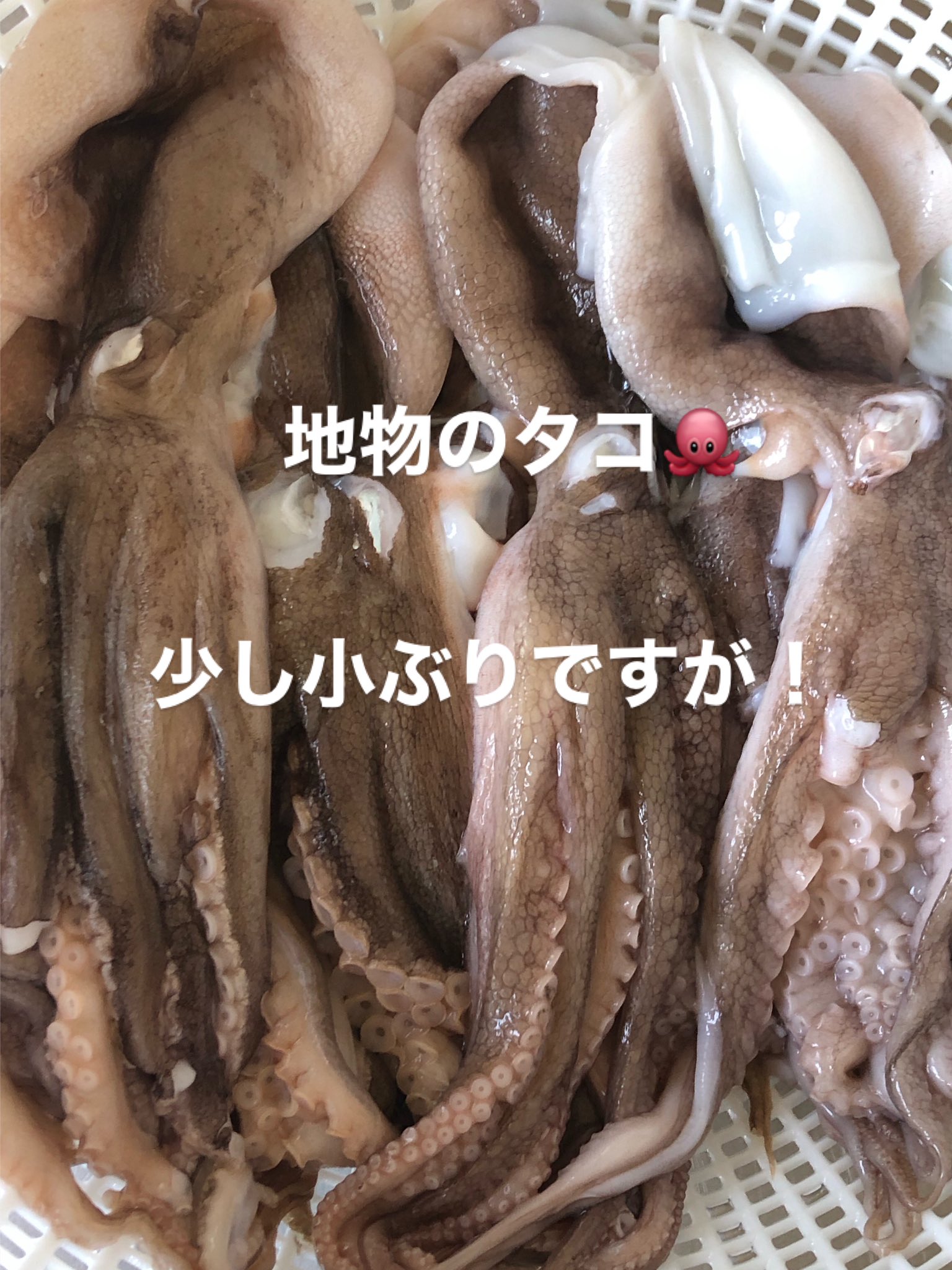 ご縁に感謝 - البحث / X