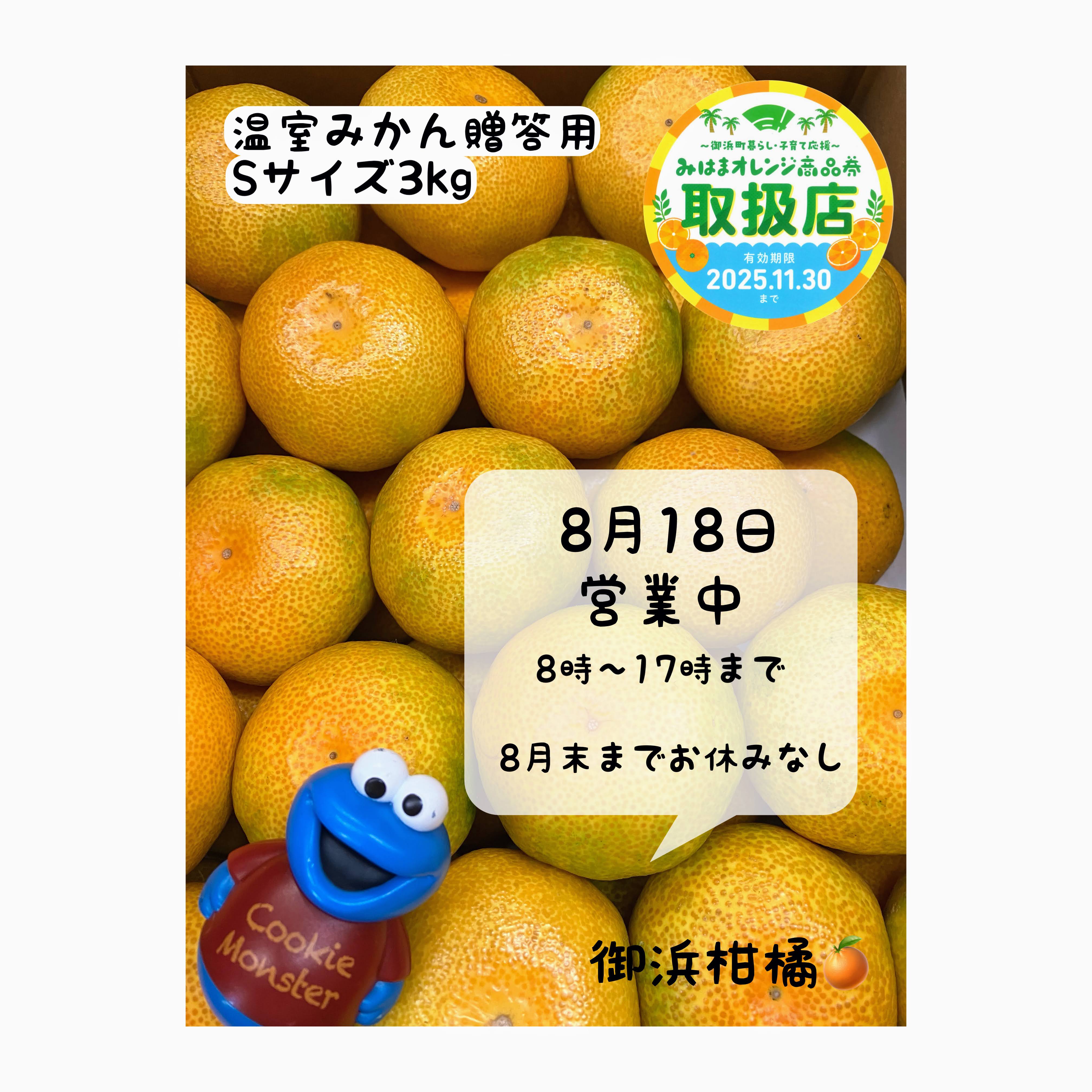 ミカン こだわりみかん”の御浜柑橘 on X: 