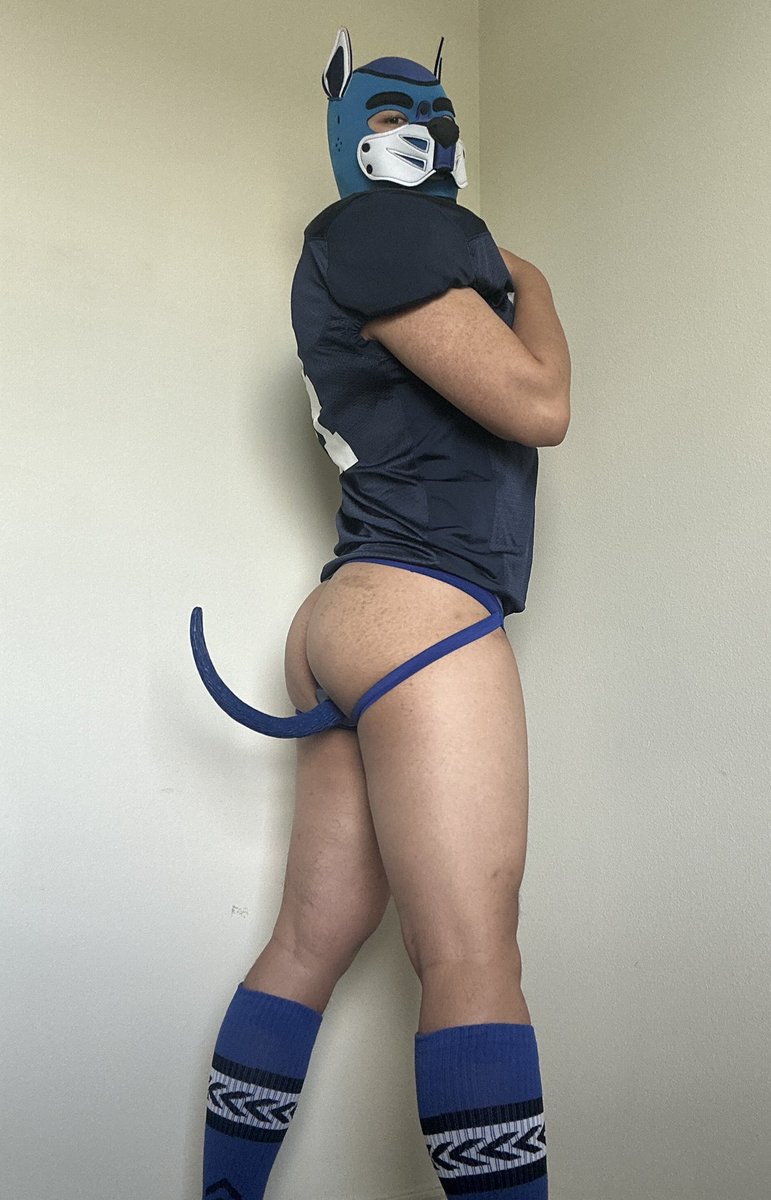 JockPupSharky's tweet photo. aroo tell me i’m a good boy 🥺 #pupplay #jockpup #footballgear #gayjock #gaypup https://t.co/JdOILl1ZfN