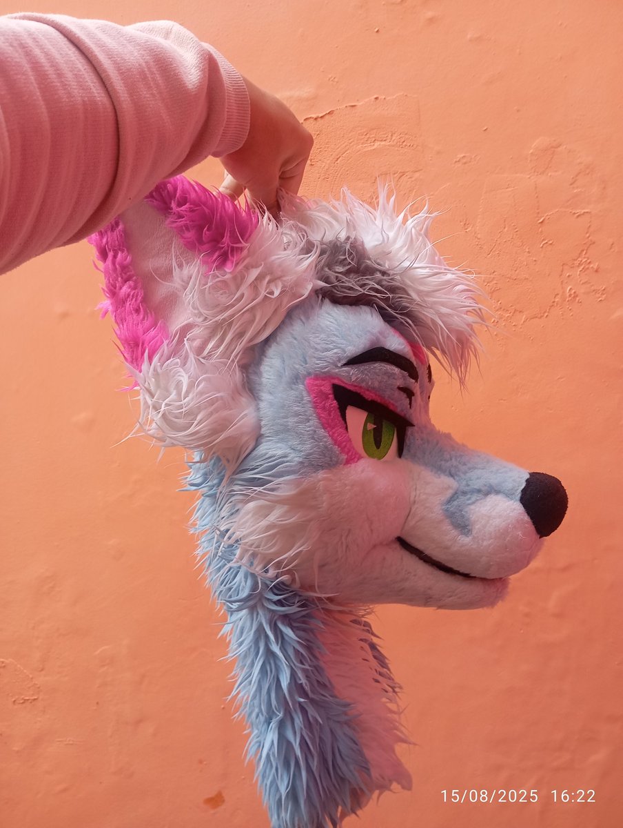 what did they do to you??
BRO GOT FLATED😭
.
.
.
.
.
.
#furry #furryfandom #furries #fursuiter #fursuiting #fursuit