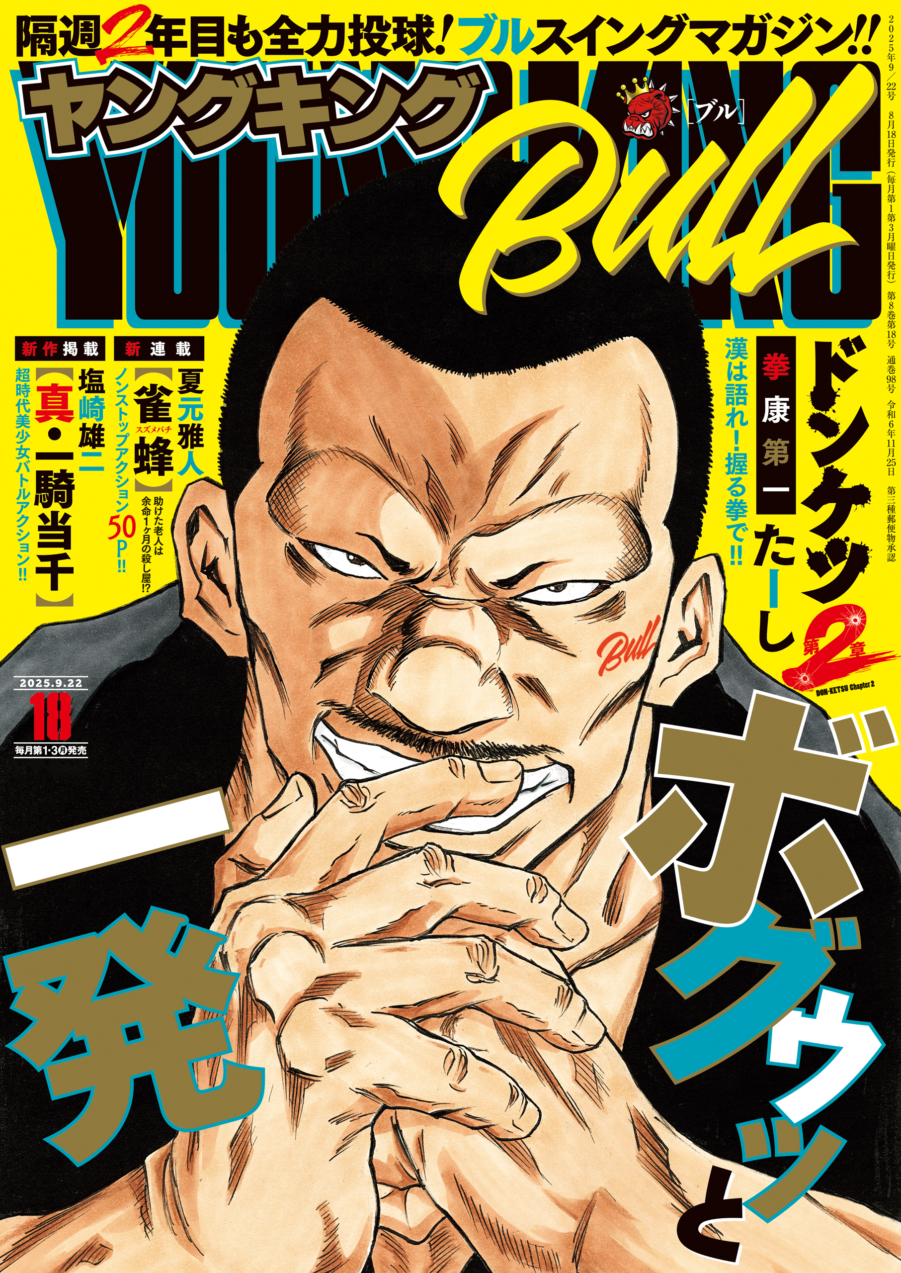 ヤングキングとヤングキングブルまとめ売り ヤングキングBULL (ブル) 2025年 08/22号 [雑誌] | ヤングキング