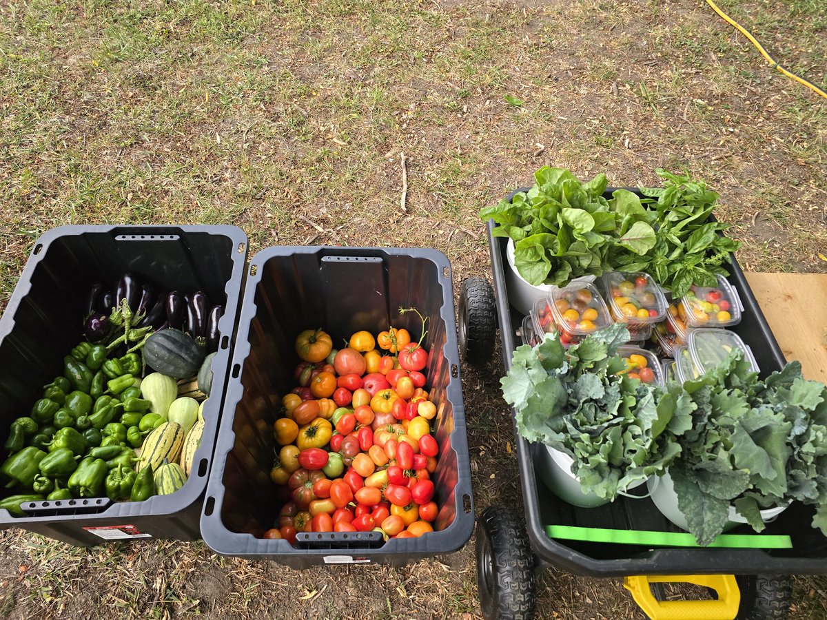 Growing a garden has been the most rewarding thing I've done since competitive sports.